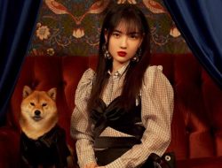 Agensi SNH48 Tuntut Majalah BEATXL Usai Undang Zhao Jiamin untuk Pemotretan