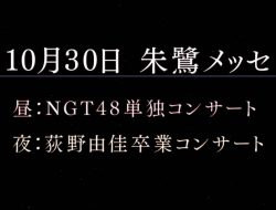 NGT48 Akan Gelar Solo Konser Sekaligus Konser Kelulusan Ogino Yuka Pada Akhir Oktober