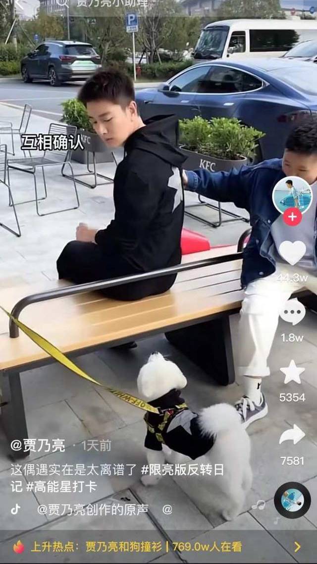 jia nailiang dog