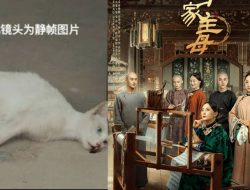 Adegan Racuni Kucing Dituduh Asli, Drama China ‘Marvelous Women’ Tuai Protes Kejam