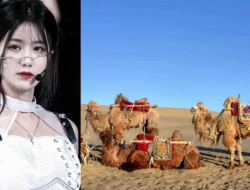 Seperti Judul, SNH48 akan Libatkan Unta Dalam MV Single Terbaru