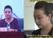 Chinese Second-Rate Actor ‘Cheng Hong’ Fired for Using Public Money for Vacation