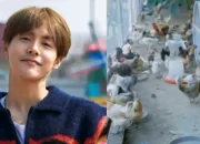 Ma Tianyu Ungkap Punya Bisnis Sampingan Peternakan Ayam - Ma Tianyu Ungkap Punya Bisnis Sampingan Peternakan Ayam Ma Tianyu Ungkap Punya Bisnis Sampingan Peternakan Ayam