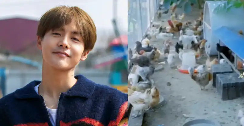Ma Tianyu Ungkap Punya Bisnis Sampingan Peternakan Ayam