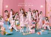 Nogizaka46 Umumkan Judul Single ke 40 Biryani - Nogizaka46 Umumkan Judul Single ke-40 "Biryani" Nogizaka46 Umumkan Judul Single ke-40 Biryani