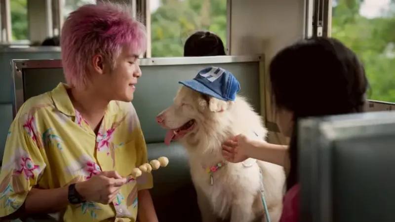Thai Movie ‘Gohan’: Heartwarming Story of a Stray Dog