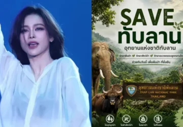 Engfa Waraha Suarakan Gerakan Save Thap Lan, Ajak Publik Peduli Satwa Liar