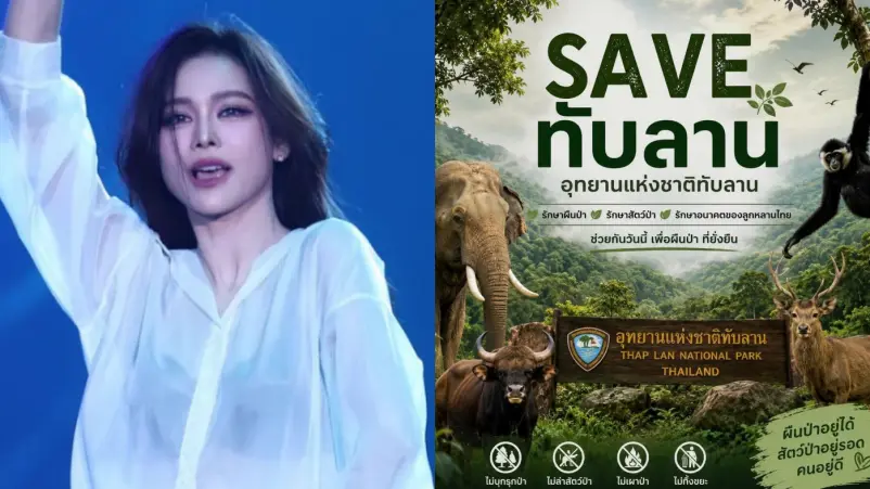 Engfa Waraha Suarakan Gerakan Save Thap Lan Ajak Publik Peduli Satwa Liar - Engfa Waraha Suarakan Gerakan Save Thap Lan, Ajak Publik Peduli Satwa Liar Engfa Waraha Suarakan Gerakan Save Thap Lan, Ajak Publik Peduli Satwa Liar