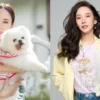 Aum Patchrapa Reflects on Past Relationships: Wishes Had Spent More Time with Her Dogs