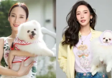 Aum Patchrapa Ungkap Penyesalan Soal Asmara Mending Waktu Buat Anjing - Aum Patchrapa Reflects on Past Relationships: Wishes Had Spent More Time with Her Dogs Aum Patchrapa Reflects on Past Relationships: Wishes Had Spent More Time with Her Dogs