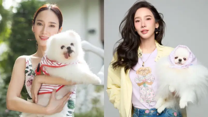 Aum Patchrapa Ungkap Penyesalan Soal Asmara Mending Waktu Buat Anjing